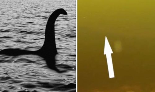 Loch Ness Monster 'spotted' in rare video - but blink and you'll miss ...