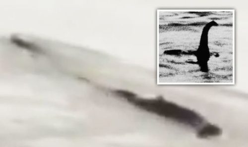 WATCH: Shocking video of China’s 'Loch Ness monster' swimming in Asia's ...