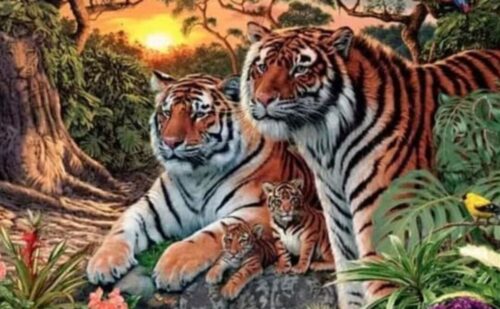 You’re in top 1% if you can spot all 16 tigers in this optical illusion