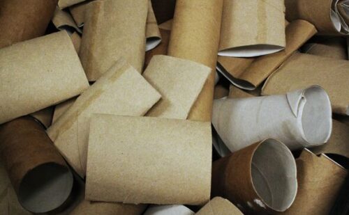 All gardeners urged to put cardboard toilet rolls in garden for ‘vital reason’